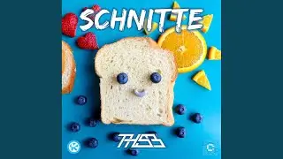 Schnitte