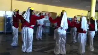 macon halay grubu
