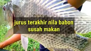 Memancing garong langsung straight @arif tumangger channel