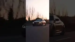 Avto vine #3