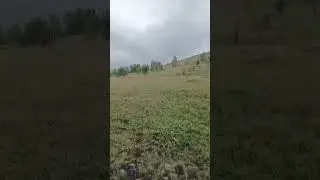 Как ощущается смерть. Ощущение. 