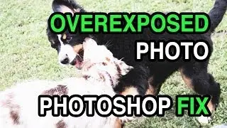 How to Fix an Overexposed Photo in Photoshop