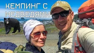 Кемпинг с медведями | Кемпинг на Тихом океане | Sand point