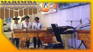 Marimba  Flor Eulense V.3 | XV Aniversario del Grupo El Valle del Ensueño | Los Angeles | soloma