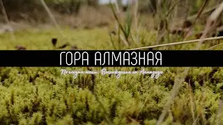 Алмазная осень: Восхождение по золотым тропам. Гора Алмазная, остров Сахалин. Пеший туризм.