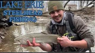 Steelhead Fishing in Erie Pa