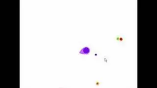 Amoeba