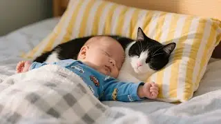 30 Minutes of the Cutest Moments Between Cat and Baby!
