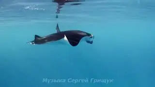 Музыка  Для Души  ,,ШЁПОТ ОКЕАНА  ,,Музыка Сергей Грищук 