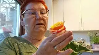 ВНЕЗАПНО УШЛА С РАБОТЫ! / 1312