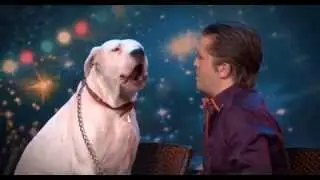 Dog sings Whitney Houston  Belgiums Got Talent  VTM