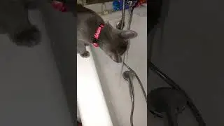 Любимый водохлёб❤️🥤