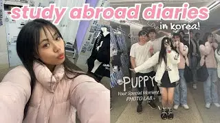 study abroad in korea vlog