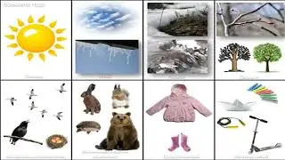 Что рассказать детям о весне во время прогулки.