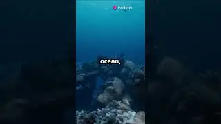 The Hidden Ocean Beneath Our Feet! #earthfacts #facts #earthcuriosities #oceanfloor