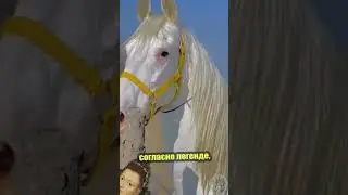 Лошадь из сказки
