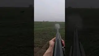 Охота на зайца !Декабрь 2023!
