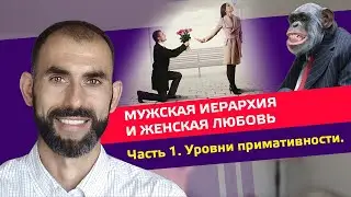 Мужская Иерархия и Женская Любовь. Часть 1. Уровни Примативности.       #любовь #отношения #мужчина
