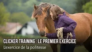 Clicker Training avec son cheval : Politesse et sécurité