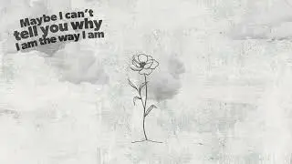 Pecos & The Rooftops - Nothing New (Official Lyric Video)