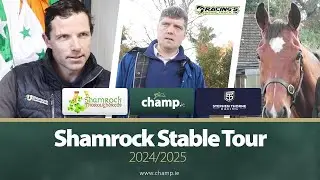 SHAMROCK STABLE TOUR 2024/2025 ☘️🏇 Shamrock Thoroughbreds | Stephen Thorne Racing | Horse Racing