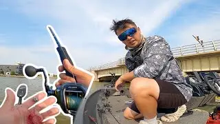 Bouncing Cut Bait for Big Fish (White Bass Update)