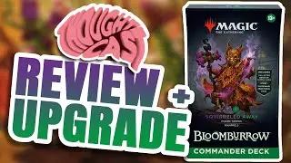 Squirreled Away Commander Review & Upgrade | Bloomburrow | The MTG Thoughtcast