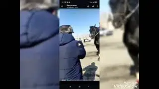 Исфана.суннат туй туй бола солих фарзанд булсин🤴🤴🤴