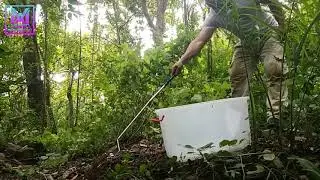 LA SERPIENTE MÁS LEGENDARIA DE AMÉRICA Serpientes venenosas de Costa Rica