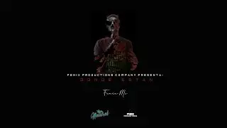 DONDE ESTAN ( Fenix )