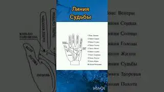 линии судьбы #гороскоп #гаданиеонлайн #историинаночь #зодиак #умершие #потусторонее #перерождение