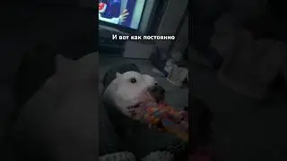И вот так постоянно 