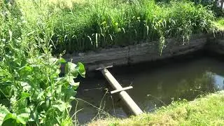 Как чавкают караси?