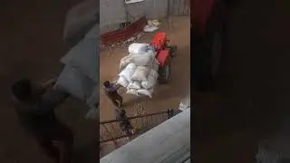 BAHÇE İŞLERİ