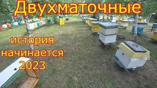 ДВУХМАТОЧНЫЕ! История начинается 2023 год