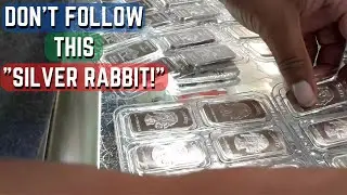 Don't Follow This Silver Rabbit: Here's Why You Shouldn't