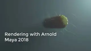 Rendering with Arnold in Maya 2018