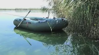 Проверил  КАРАСЕВЫЕ Tочки