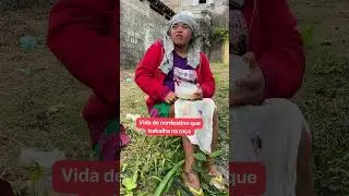 Vida de nordestino é assim, não tem medo de trabalhar