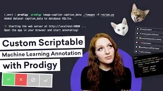 IMAGE CAPTIONING ANNOTATION with Prodigy & PyTorch: custom scriptable machine learning annotation