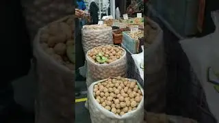 Many nuts in Russia #russia #shorts