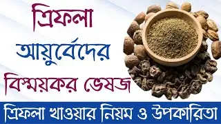 ত্রিফলা | ত্রিফলা খাওয়ার উপকারিতা | ত্রিফলা চূর্ণ খাওয়ার নিয়ম