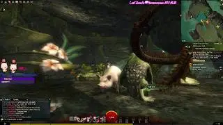🐾В гостях у Guild Wars 2! Покачиваемся...🐾