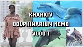 kharkiv  Dolphinarium Nemo  |watch dolphins dance to music|