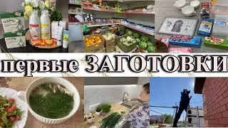 VLOG: ПОКУПКИ с ФИКСА/ Я ИЗМЕНИЛАСЬ/МОНТАЖ СЛИВОВ/ЗАЛЕЗЛА К СОСЕДЯМ
