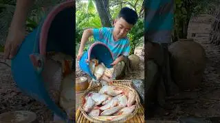 Yummy red tail fish cooking