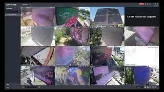 amedia отчеты