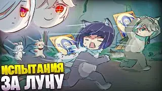 ▼ ЗАСТАВИЛА ИХ СТРАДАТЬ | Челлендж |  Genshin Impact | (