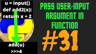 How to pass user input as a argument in function in python #31