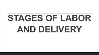 STAGES OF LABOR AND DELIVERY